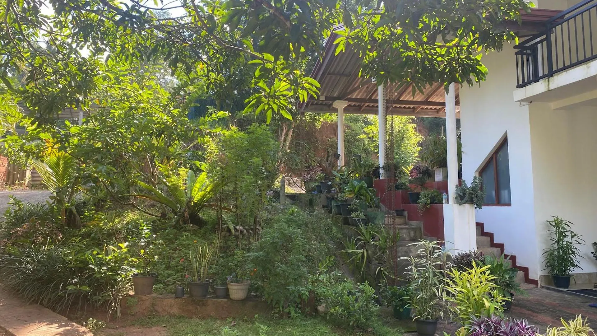 Oasis Suite Kandy